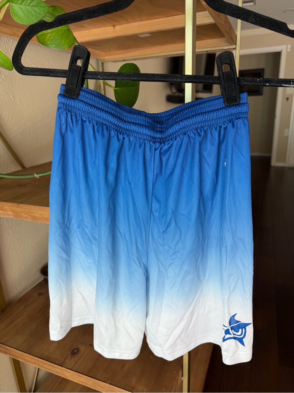 Kids Blue Ombre Athletic Shorts with Elastic Waist